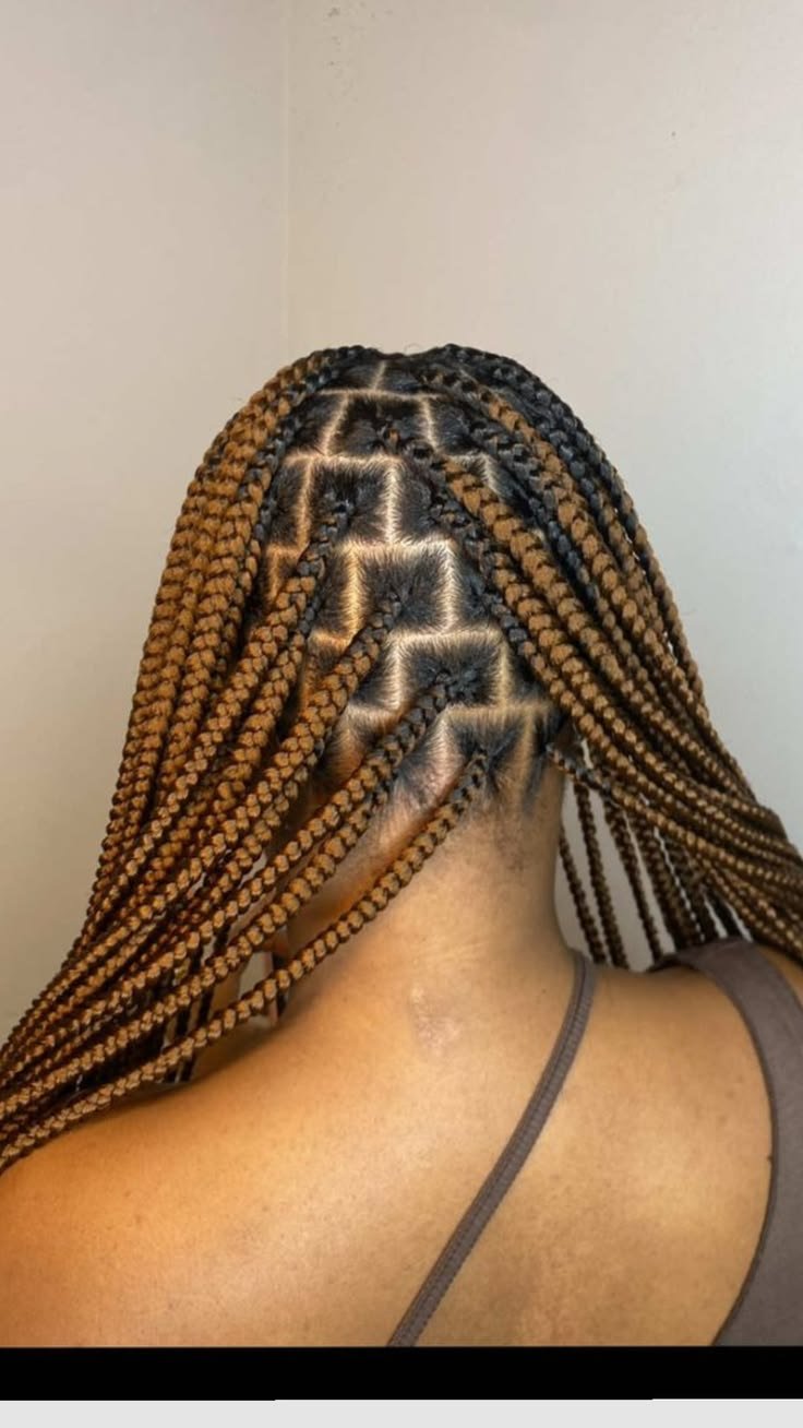 Client braid style by Lydia's Braiding